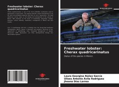 Freshwater lobster: Cherax quadricarinatus - Núñez García, Laura Georgina;Ávila Rodríguez, Ulises Antonio;Díaz Larrea, Jhoana