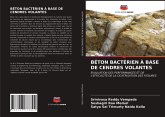 BÉTON BACTÉRIEN À BASE DE CENDRES VOLANTES