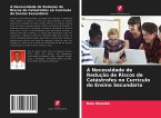 A Necessidade de Redução de Riscos de Catástrofes no Currículo do Ensino Secundário