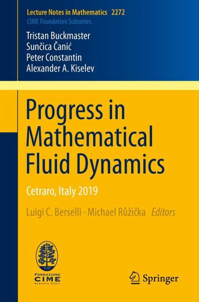Progress in Mathematical Fluid Dynamics (eBook, PDF) Progress in Mathematical Fluid Dynamics (eBook, PDF)