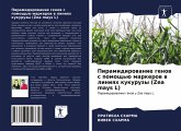 Piramidirowanie genow s pomosch'ü markerow w liniqh kukuruzy (Zea mays L)