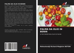 PALMA DA OLIO IN BENIN - Boton, Mahoutondji Richard Magloire