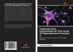Cadmium-Zinc Interactions At The Level Of Reproductive Function ¿ - Chouchene, Lina