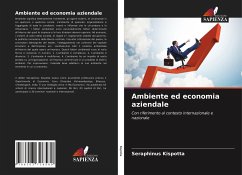 Ambiente ed economia aziendale - Kispotta, Seraphinus