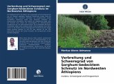 Verbreitung und Schweregrad von Sorghum-bedecktem Schmutz im Nordwesten Äthiopiens