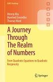 A Journey Through The Realm of Numbers (eBook, PDF)