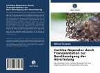 Cochlea-Reparatur durch Transplantation zur Beschleunigung der Hörerholung