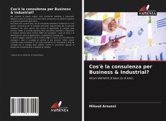 Cos'è la consulenza per Business & Industrial? - Aroussi, Miloud