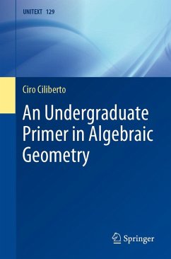 Cover An Undergraduate Primer in Algebraic Geometry (eBook, PDF)