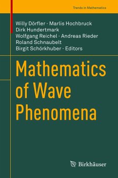 Mathematics of Wave Phenomena (eBook, PDF)