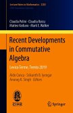Recent Developments in Commutative Algebra (eBook, PDF)