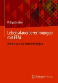 Lebensdauerberechnungen mit FEM (eBook, PDF)
