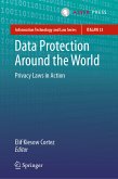 Data Protection Around the World (eBook, PDF)