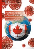 Political Turmoil in a Tumultuous World (eBook, PDF)