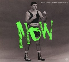 Now - Fury In The Slaughterhouse