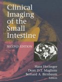 Clinical Imaging of the Small Intestine (eBook, PDF)