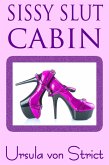 Sissy Slut Cabin (Boys in Heels) (eBook, ePUB)