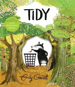 Tidy (eBook, ePUB) - Gravett, Emily