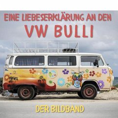 Eine Liebeserklärung an den VW Bulli - Hübsch, Bibi