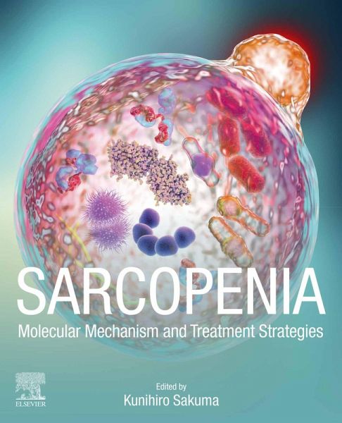 Sarcopenia (eBook, ePUB) Sarcopenia (eBook, ePUB)