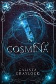 Cosmina (eBook, ePUB)