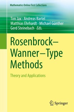 Rosenbrock—Wanner–Type Methods (eBook, PDF)