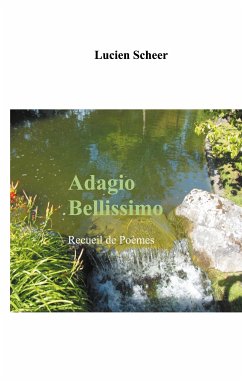 Adagio Bellissimo (eBook, ePUB)