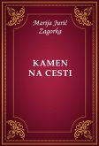 Kamen na cesti (eBook, ePUB)