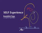Self Experience (eBook, ePUB)
