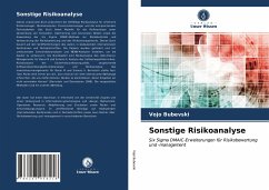 Sonstige Risikoanalyse - Bubevski, Vojo