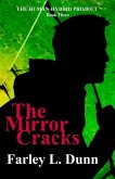 The Mirror Cracks