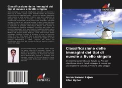 Classificazione delle immagini dei tipi di nuvole a livello singolo - Bajwa, Imran Sarwar; Hyder, Irfan