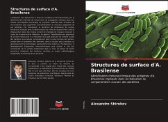 Structures de surface d'A. Brasilense - Shirokov, Alexandre