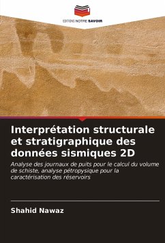 Interprétation structurale et stratigraphique des données sismiques 2D - Nawaz, Shahid