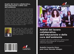 Analisi del lavoro collaborativo, dell'educazione e della cura dell'ambiente - Camacho Pérez, Rodolfo;Macedo Villegas, José Cesar