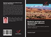 Badania geologiczne dziewiczego obszaru (Kerkouz)