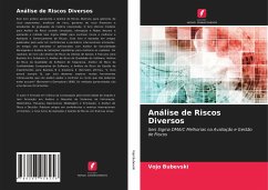 Análise de Riscos Diversos - Bubevski, Vojo