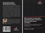 Meccanismi molecolari dell'ipertrofia cardiaca e dell'insufficienza cardiaca