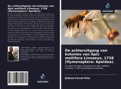 De achteruitgang van kolonies van Apis mellifera Linnaeus, 1758 (Hymenoptera: Apoidea). - Ferral-Piña, Jhibran