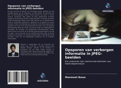 Opsporen van verborgen informatie in JPEG-beelden - Bawa, Manmeet