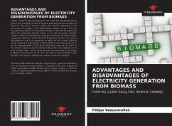 ADVANTAGES AND DISADVANTAGES OF ELECTRICITY GENERATION FROM BIOMASS - Vasconcellos, Felipe