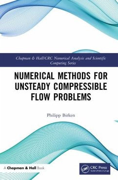 Numerical Methods for Unsteady Compressible Flow Problems - Birken, Philipp