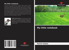 My little notebook - Sabata, Patrick