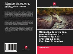 Utilização de ultra-som para o diagnóstico e monitorização da gravidez no bode Murciano Granadina - Galián, Sonia