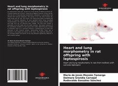 Heart and lung morphometry in rat offspring with leptospirosis - Monzón Tamargo, María de Jesús; Carvajal, Daimara Grandía; González Sánchez, Rodovaldo