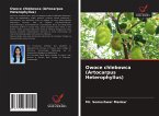 Owoce chlebowca (Artocarpus Heterophyllus)