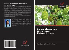 Owoce chlebowca (Artocarpus Heterophyllus) - Mankar, Mr. Someshwar