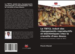 Le TBTCL induit des changements reproductifs et biochimiques chez la crevette d'eau douce. - Kharat, Pravin