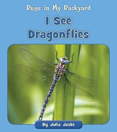 I See Dragonflies - Jaske, Julia