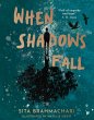 When Shadows Fall - Bild 1